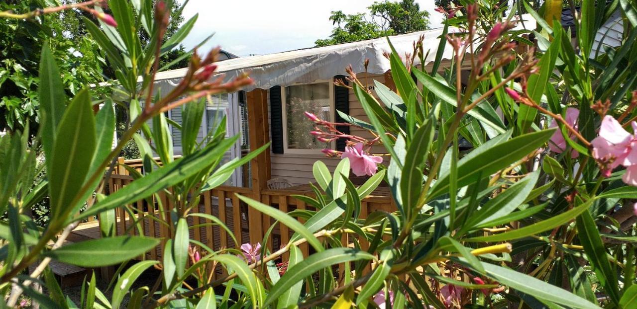 Campsite Mobil-home 4 ****